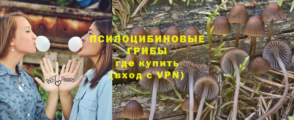2c-b Абдулино