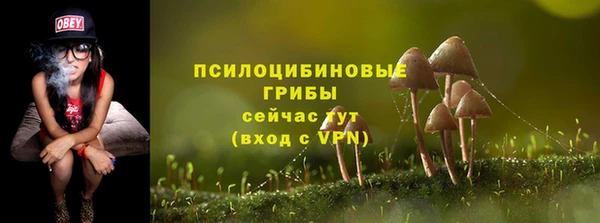 марихуана Абаза