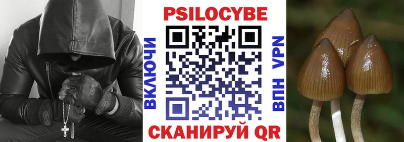 Галлюциногенные грибы прущие грибы  маркетплейс наркотические препараты  Пугачёв 